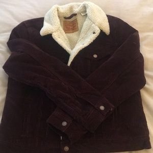 NWOT Levi's sherpa cord trucker jacket.